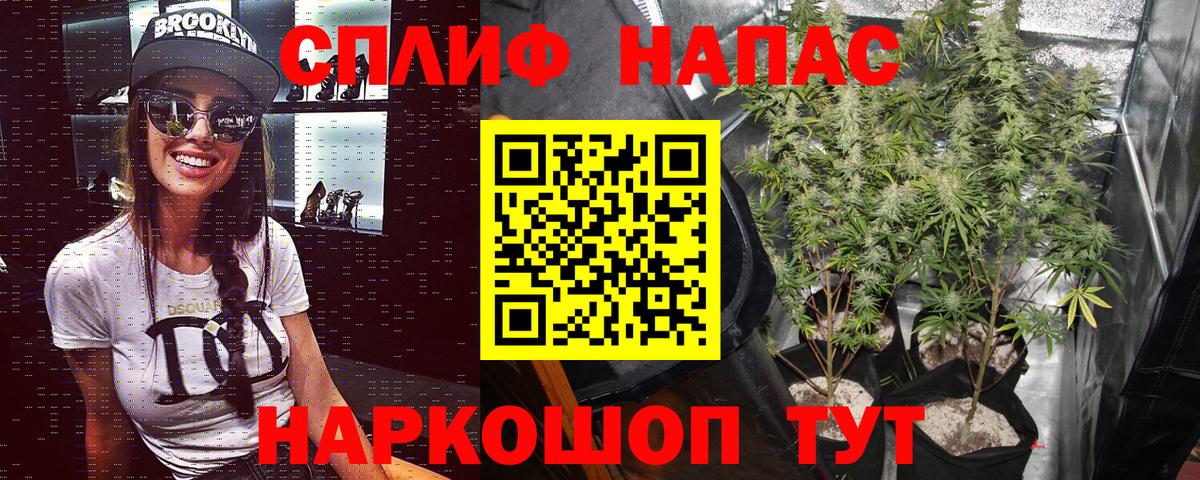 Бошки марихуана семена Озёрск